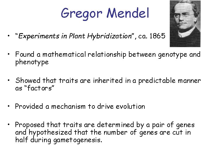 Gregor Mendel • “Experiments in Plant Hybridization”, ca. 1865 • Found a mathematical relationship