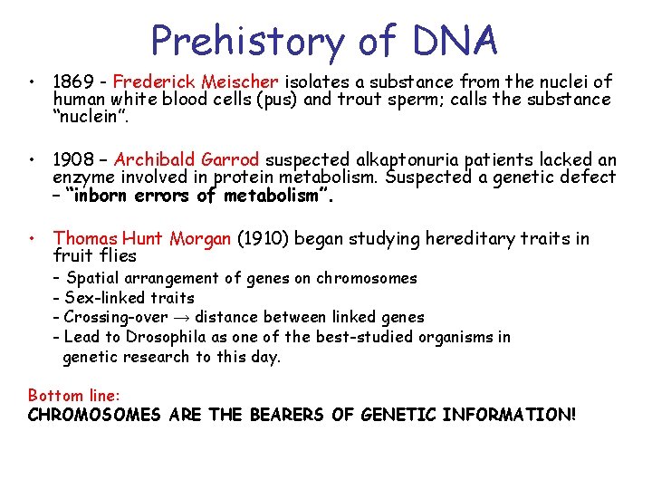 Prehistory of DNA • 1869 - Frederick Meischer isolates a substance from the nuclei