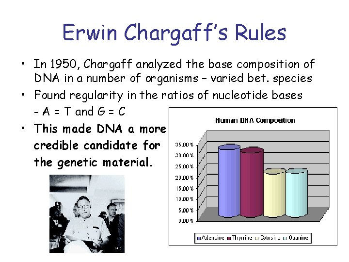 Erwin Chargaff’s Rules • In 1950, Chargaff analyzed the base composition of DNA in