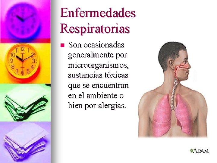 Enfermedades Respiratorias n Son ocasionadas generalmente por microorganismos, sustancias tóxicas que se encuentran en