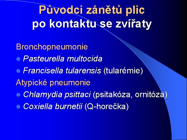 Původci zánětů plic po kontaktu se zvířaty Bronchopneumonie l Pasteurella multocida l Francisella tularensis