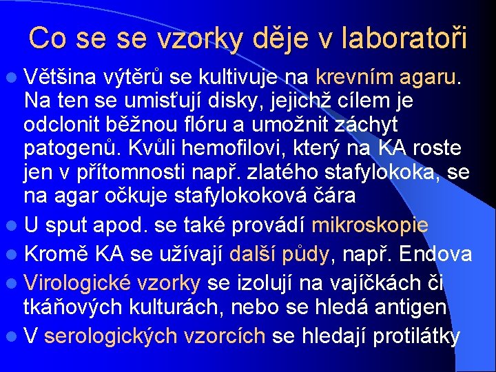 Co se se vzorky děje v laboratoři l Většina výtěrů se kultivuje na krevním