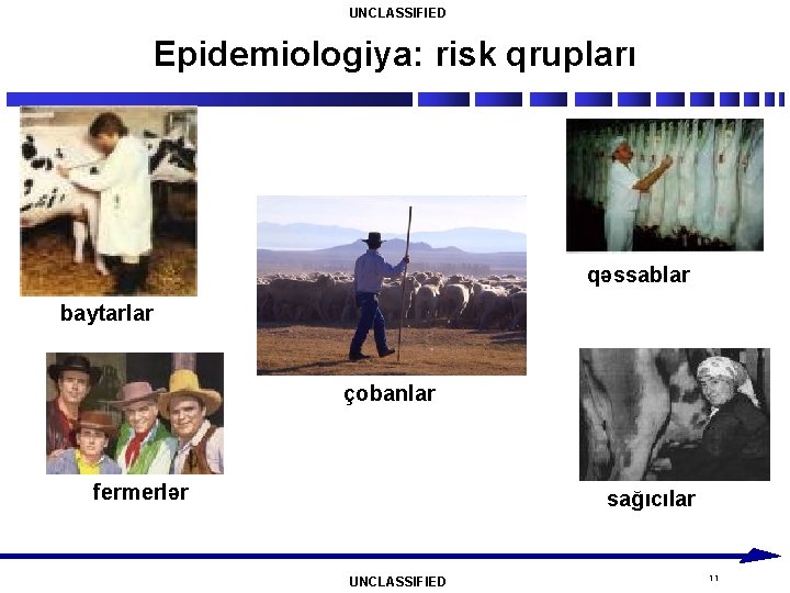 UNCLASSIFIED Epidemiologiya: risk qrupları qəssablar baytarlar çobanlar fermerlər sağıcılar UNCLASSIFIED 11 