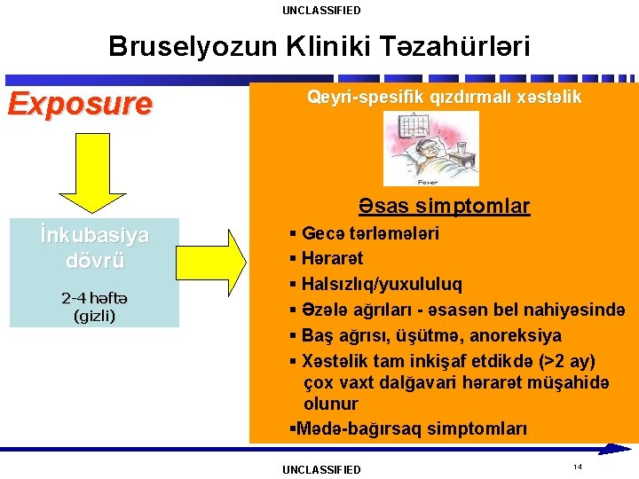 UNCLASSIFIED Bruselyozun Kliniki Təzahürləri Exposure Qeyri-spesifik qızdırmalı xəstəlik Əsas simptomlar İnkubasiya dövrü 2 -4