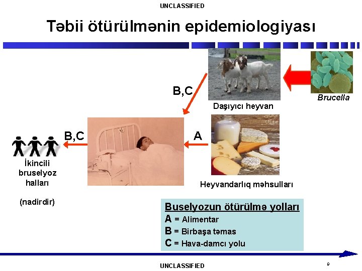 UNCLASSIFIED Təbii ötürülmənin epidemiologiyası B, C Daşıyıcı heyvan B, C İkincili bruselyoz halları (nadirdir)