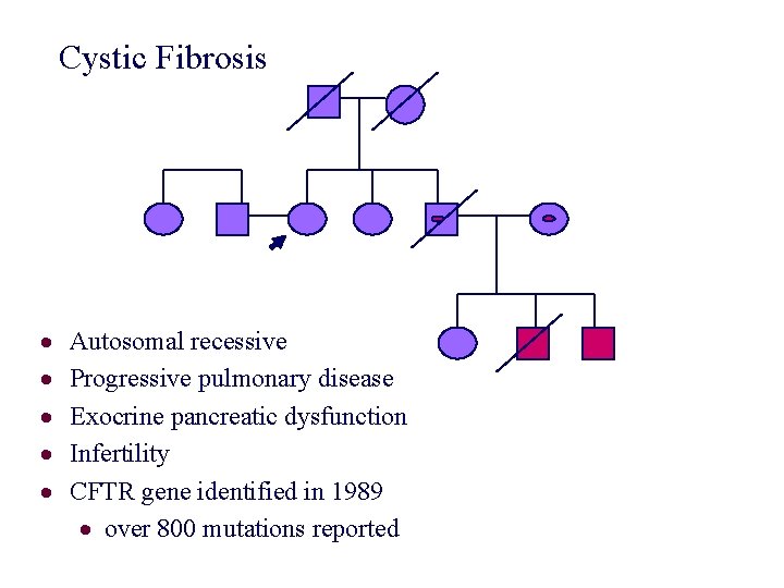 Cystic Fibrosis · · · Autosomal recessive Progressive pulmonary disease Exocrine pancreatic dysfunction Infertility