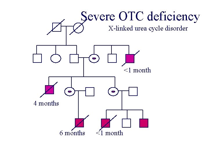 Severe OTC deficiency X-linked urea cycle disorder <1 month 4 months 6 months <1