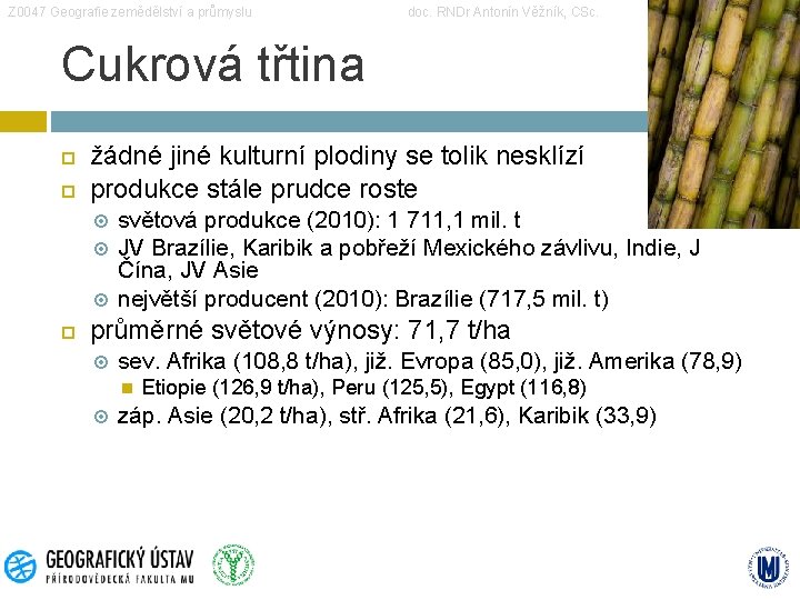 Z 0047 Geografie zemědělství a průmyslu doc. RNDr Antonín Věžník, CSc. Cukrová třtina žádné