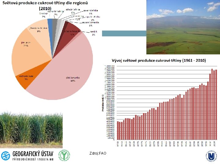 Zdroj: FAO 