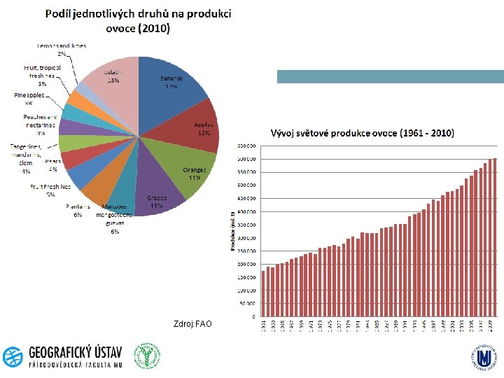 Zdroj: FAO 