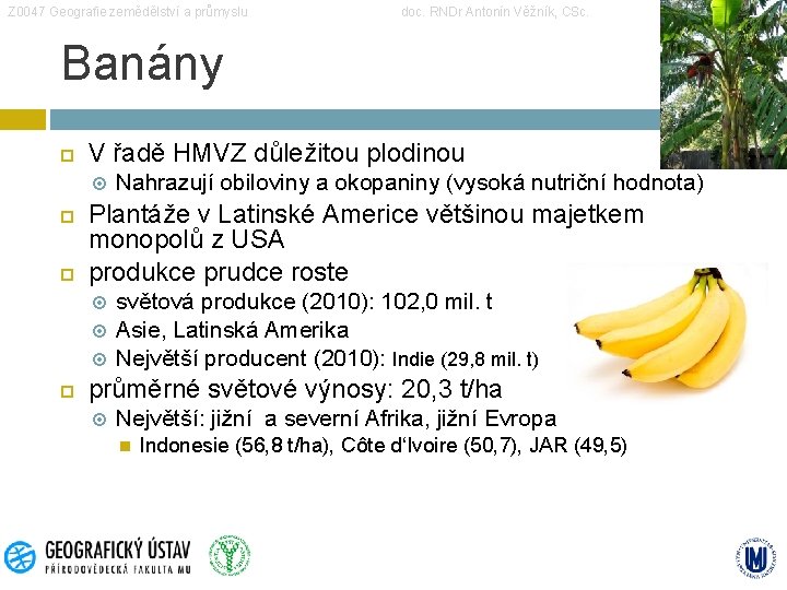 Z 0047 Geografie zemědělství a průmyslu doc. RNDr Antonín Věžník, CSc. Banány V řadě