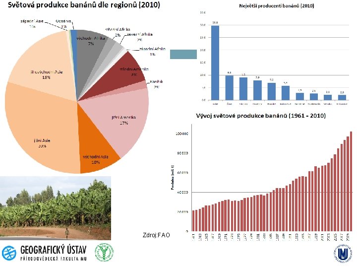 Zdroj: FAO 