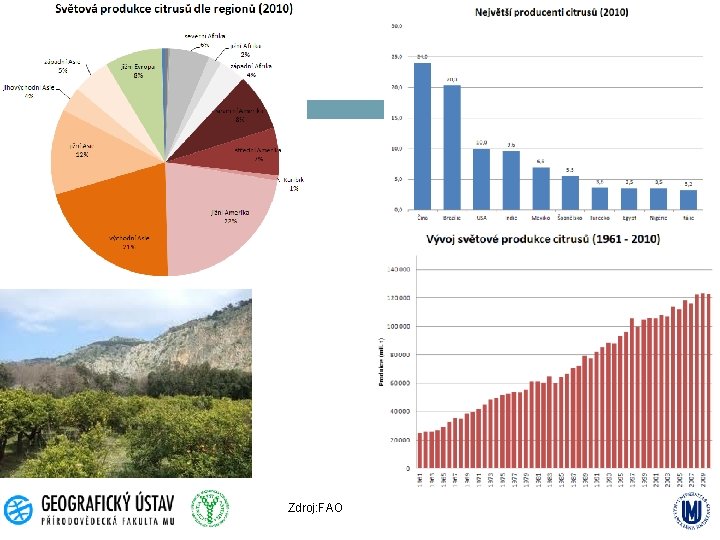 Zdroj: FAO 