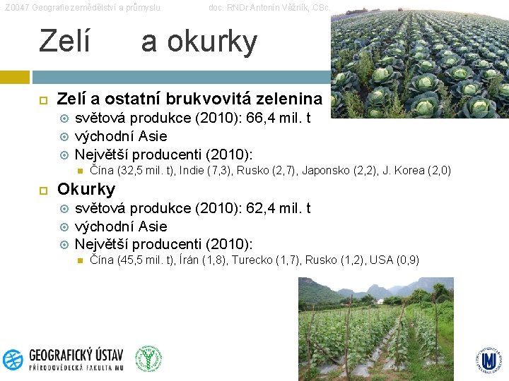 Z 0047 Geografie zemědělství a průmyslu Zelí a okurky Zelí a ostatní brukvovitá zelenina