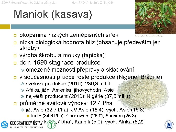Z 0047 Geografie zemědělství a průmyslu doc. RNDr Antonín Věžník, CSc. Maniok (kasava) okopanina