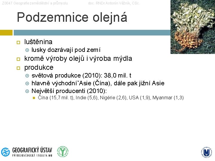 Z 0047 Geografie zemědělství a průmyslu doc. RNDr Antonín Věžník, CSc. Podzemnice olejná luštěnina