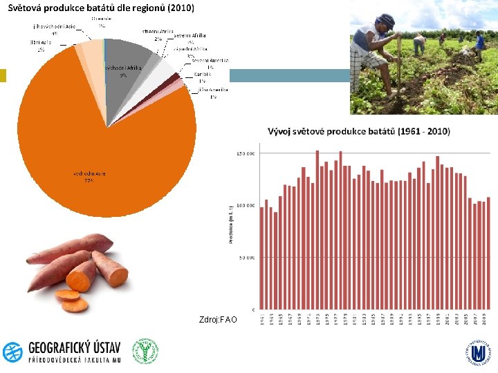 Zdroj: FAO 