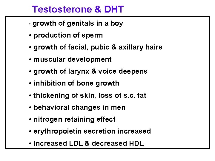 Testosterone & DHT • growth of genitals in a boy • production of sperm