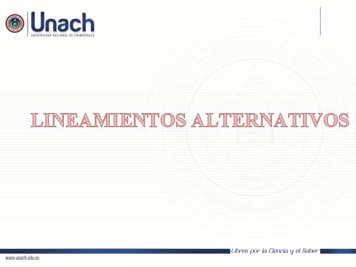 LINEAMIENTOS ALTERNATIVOS 