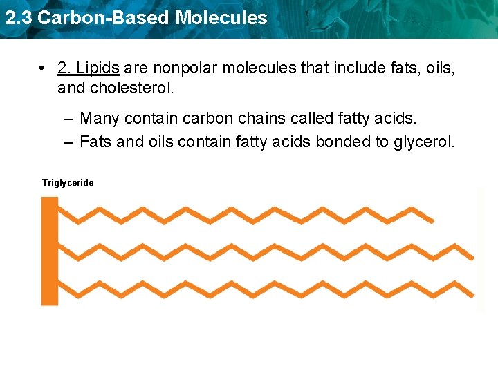 2. 3 Carbon-Based Molecules • 2. Lipids are nonpolar molecules that include fats, oils,