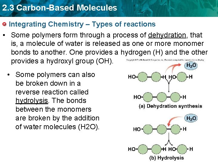 2. 3 Carbon-Based Molecules Integrating Chemistry – Types of reactions • Some polymers form