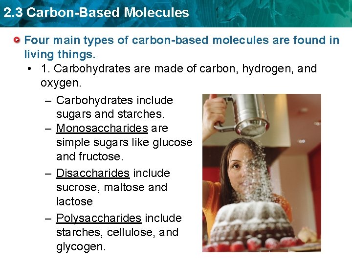 2. 3 Carbon-Based Molecules Four main types of carbon-based molecules are found in living