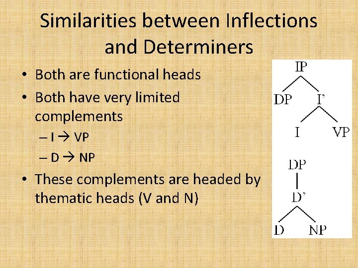 Similarities between Inflections and Determiners • Both are functional heads • Both have very