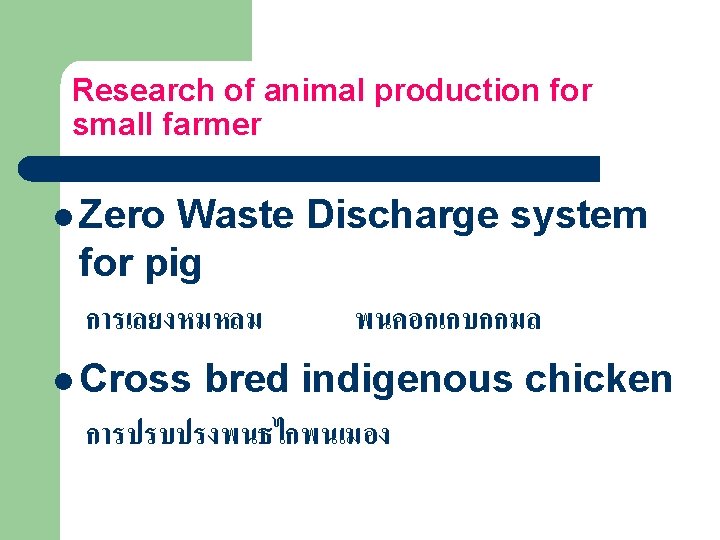 Research of animal production for small farmer l Zero Waste Discharge system for pig