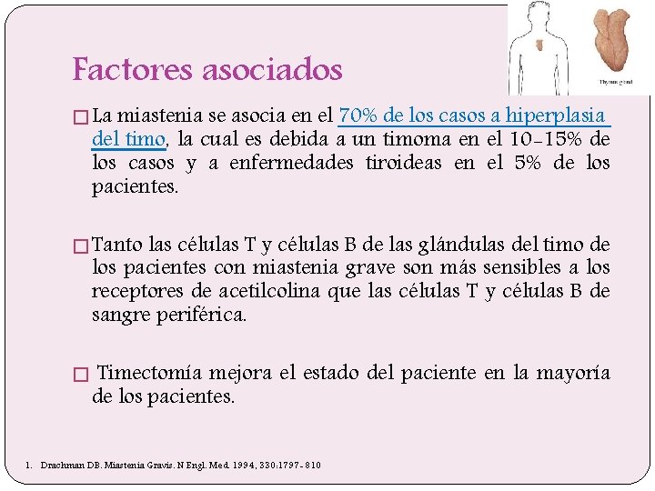 Factores asociados � La miastenia se asocia en el 70% de los casos a