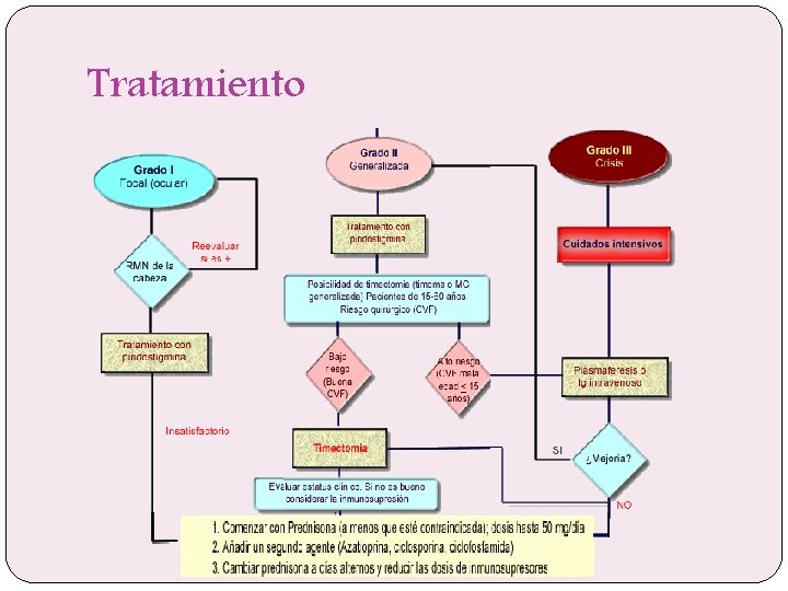 Tratamiento 