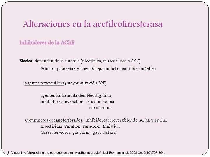 Alteraciones en la acetilcolinesterasa Inhibidores de la ACh. E Efectos: dependen de la sinapsis