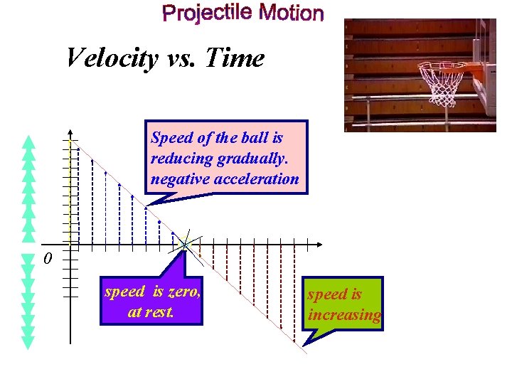 Velocity vs. Time v (m/s) Speed of the ball is reducing gradually. negative acceleration