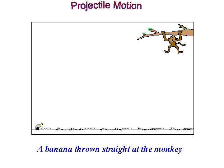A banana thrown straight at the monkey 