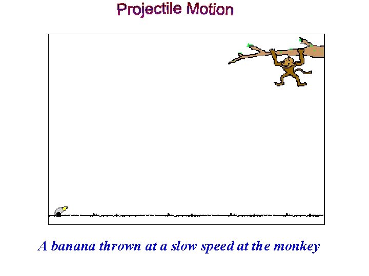 A banana thrown at a slow speed at the monkey 