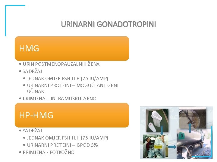 URINARNI GONADOTROPINI HMG • URIN POSTMENOPAUZALNIH ŽENA • SADRŽAJ • JEDNAK OMJER FSH I