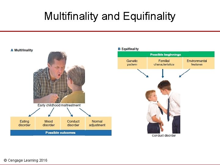 Multifinality and Equifinality © Cengage Learning 2016 