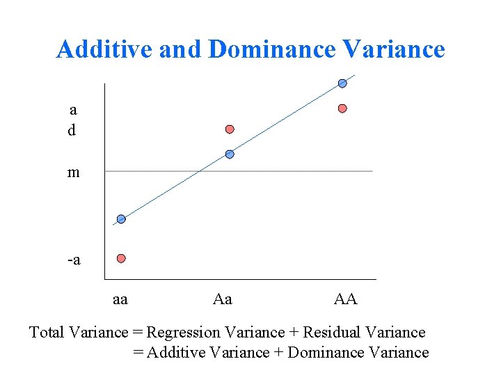Additive and Dominance Variance a d m -a aa Aa AA Total Variance =