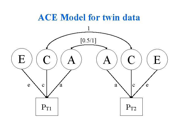 ACE Model for twin data 1 [0. 5/1] E C e c PT 1