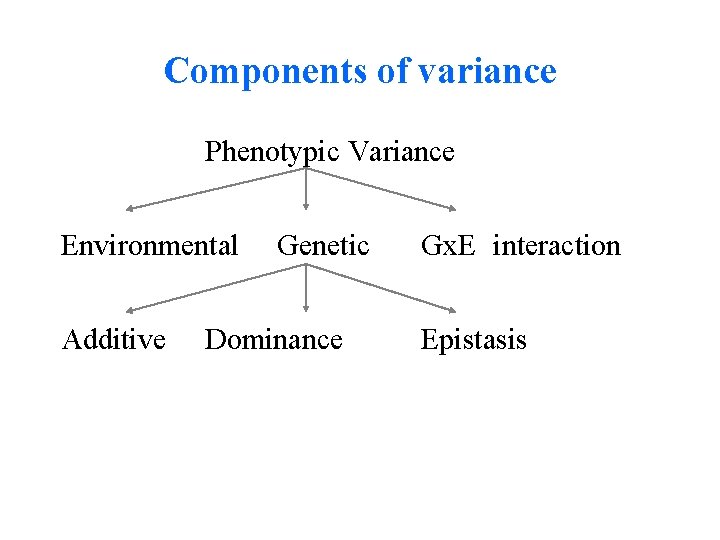 Components of variance Phenotypic Variance Environmental Additive Genetic Dominance Gx. E interaction Epistasis 