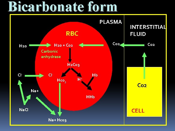 Bicarbonate form PLASMA RBC Co 2 H 20 + Co 2 Carbonic anhydrase H