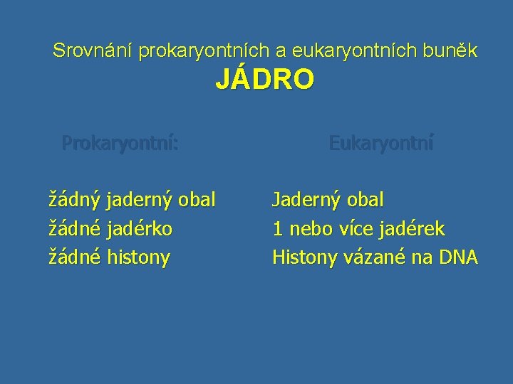 Srovnání prokaryontních a eukaryontních buněk JÁDRO Prokaryontní: žádný jaderný obal žádné jadérko žádné histony