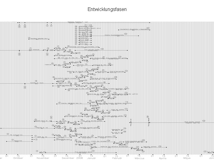 Entwicklungsfasen 