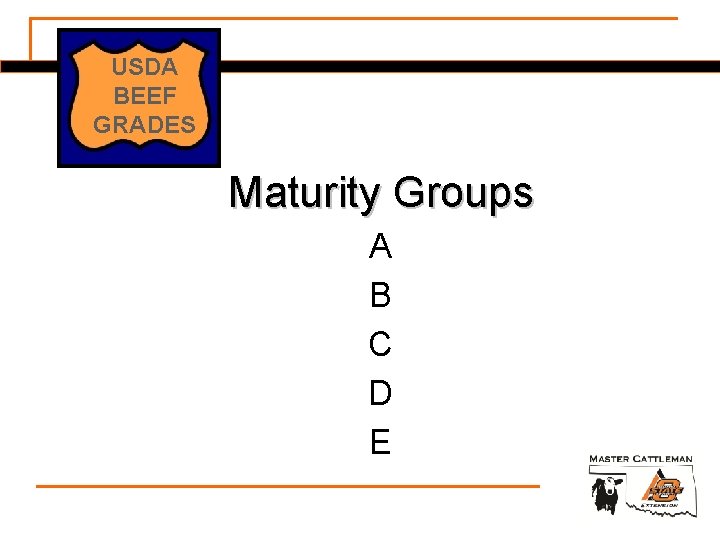 USDA BEEF GRADES Maturity Groups A B C D E 