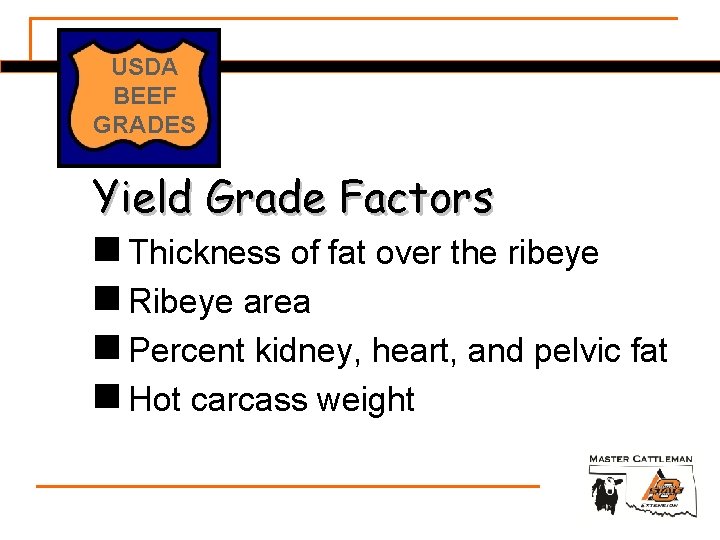 USDA BEEF GRADES Yield Grade Factors n Thickness of fat over the ribeye n