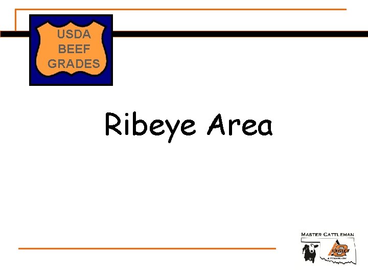 USDA BEEF GRADES Ribeye Area 
