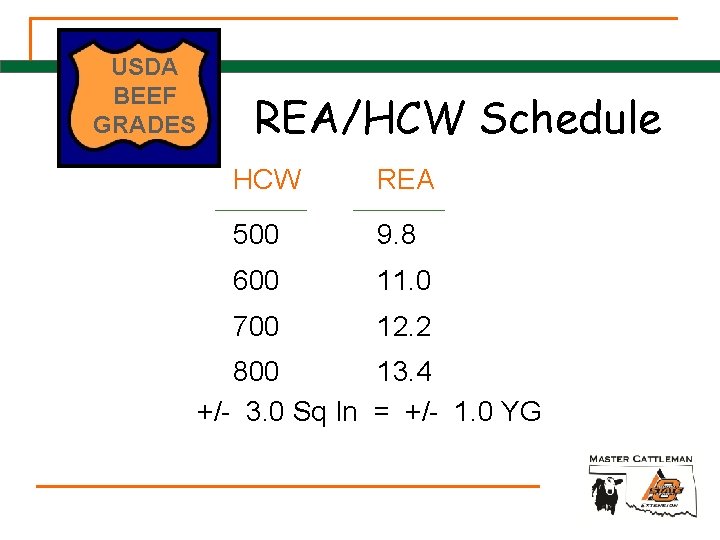 USDA BEEF GRADES REA/HCW Schedule HCW REA 500 9. 8 600 11. 0 700