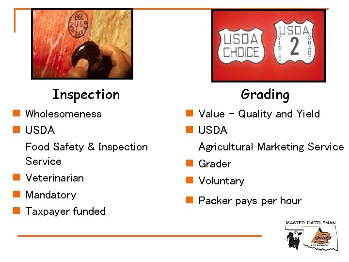 Inspection n Wholesomeness n USDA Food Safety & Inspection Service n Veterinarian n Mandatory