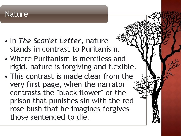 Nature • In The Scarlet Letter, nature stands in contrast to Puritanism. • Where