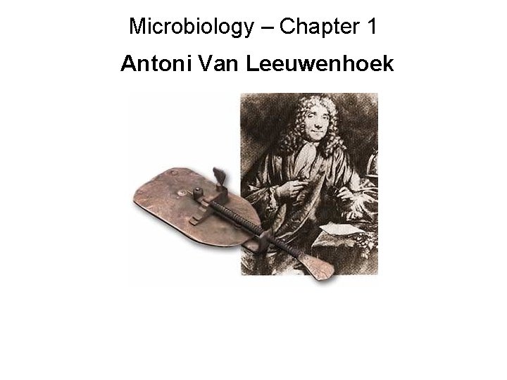 Microbiology – Chapter 1 Antoni Van Leeuwenhoek 