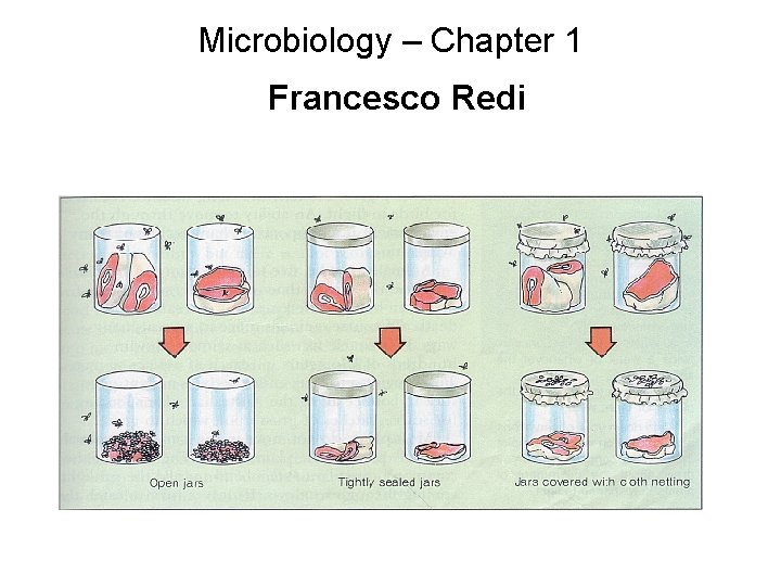 Microbiology – Chapter 1 Francesco Redi 